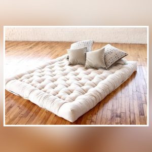 01 Recron Mattress for Pet