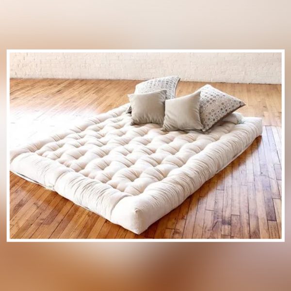 Recron Mattress for Pet