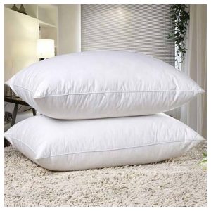 01 Recron Cushions