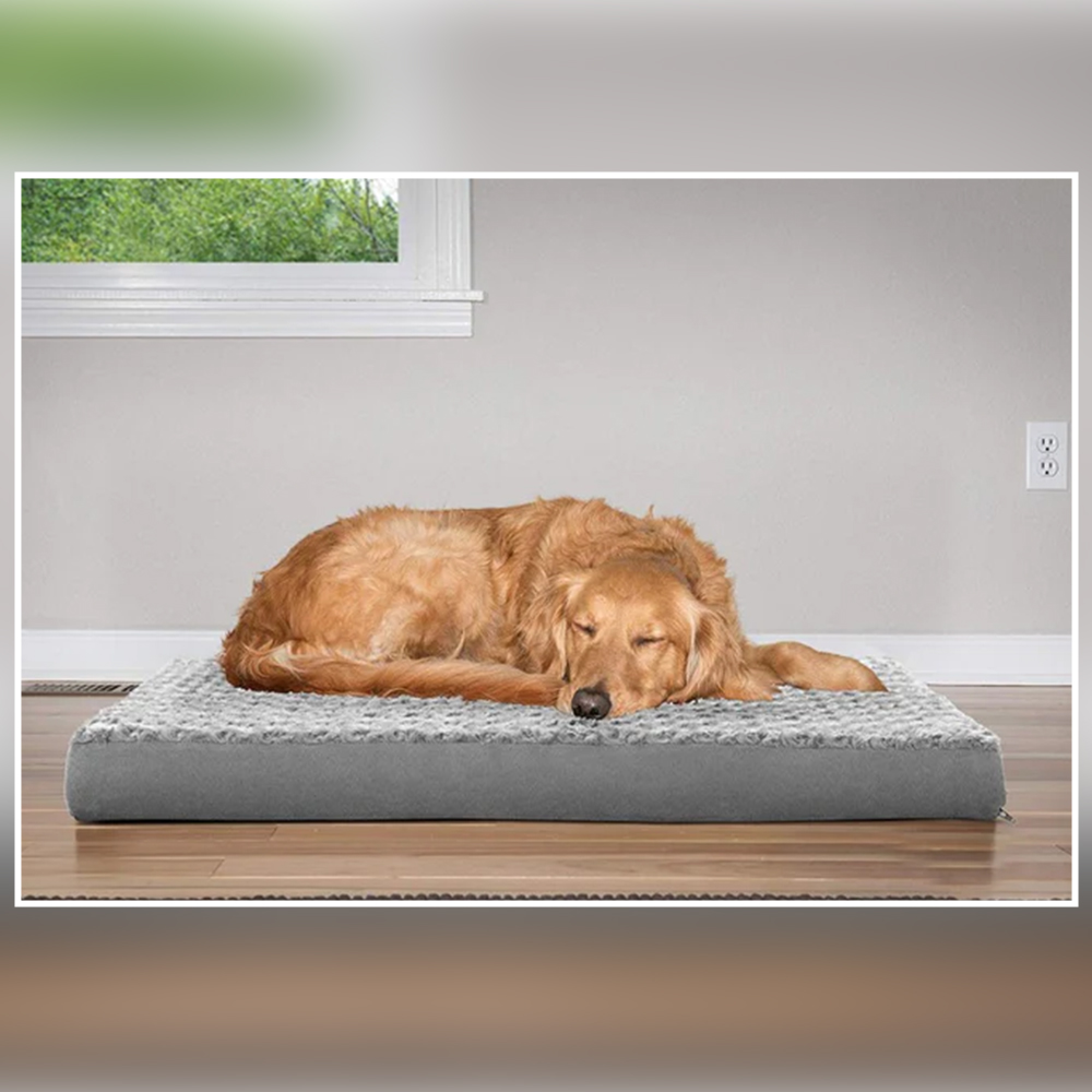 Pure Cotton Mattress for Pet - Image 3