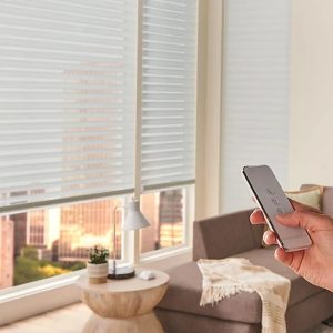 02 Motorized Blinds