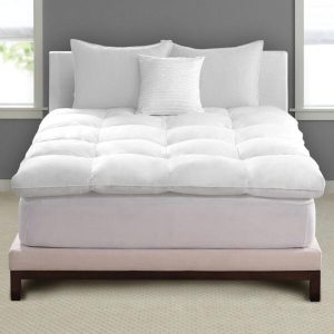 03 Pure Cotton Box Mattress