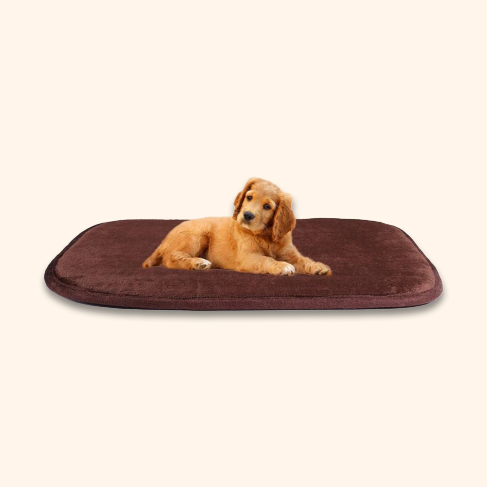 Pure Cotton Mattress for Pet - Image 2
