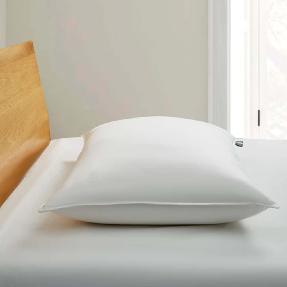 American Size Pillow